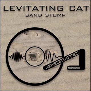 Levitating текст