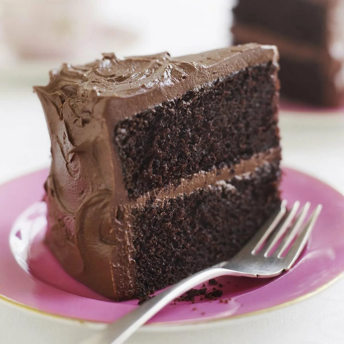 Пирожное 2 шоколада. Торт шоколадный трюфель. Торт шоколадный с трюф. Слоеный шоколадный пирог. Шоколадный торт трюфельный с пудрой.