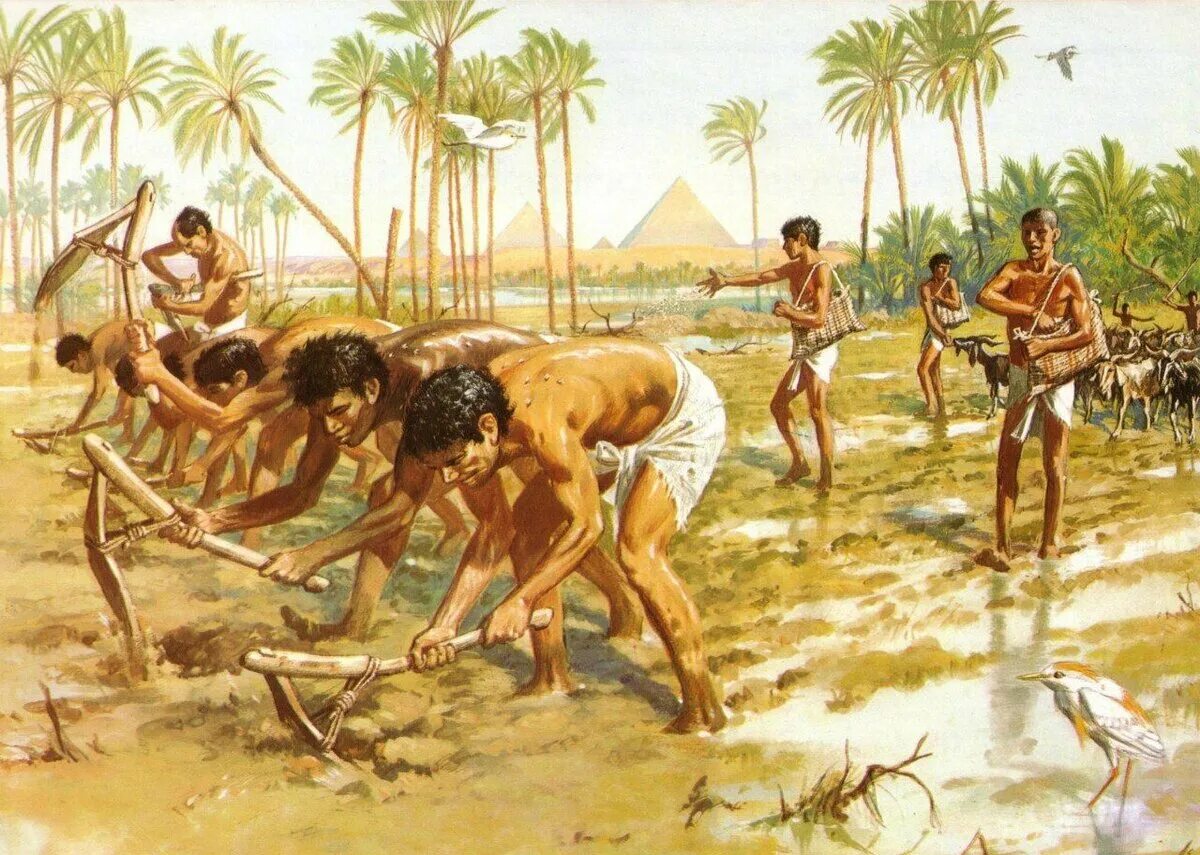 Земледелие в древнем Египте. Хозяйство древнего Египта земледелие. Древние египтяне земледельцы.