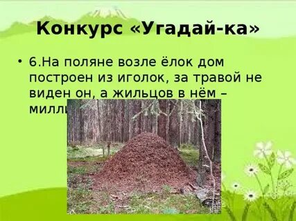 Чей елок на домишко у из старых