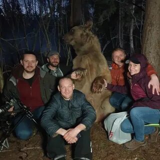 Bear work