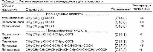 Жирные кислоты ОМЕГА-3 и спортивные травмы. Возможная помощь при лечении?