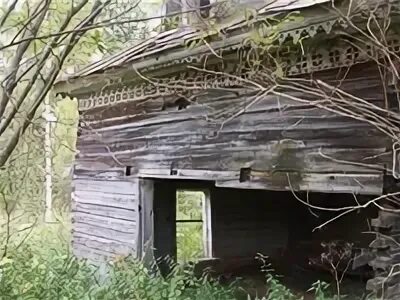 Павлово костромская область