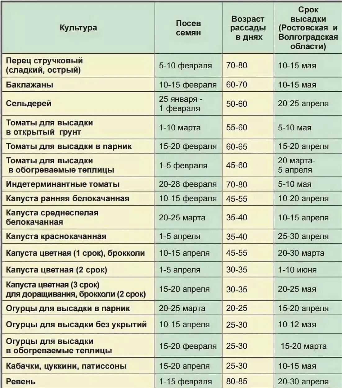 Можно сегодня сеять семена на рассаду