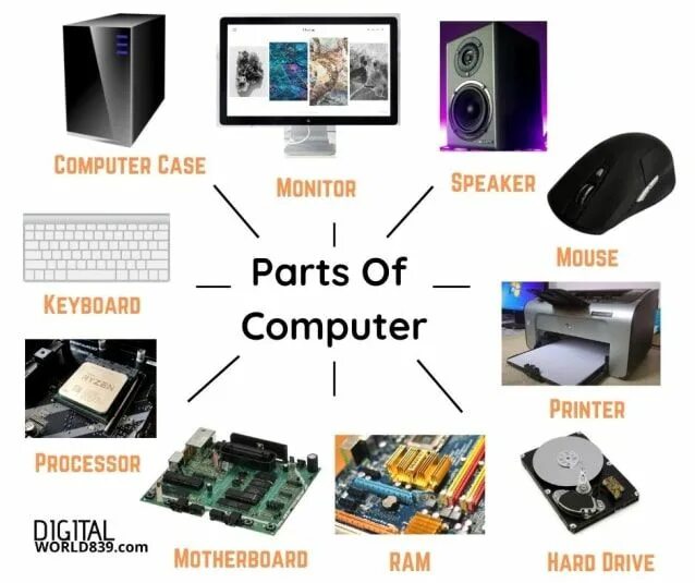 Functions of computers. Computer Parts. Essential Parts of Computer. Parts of Computer in English. Name the Parts of the Computer.