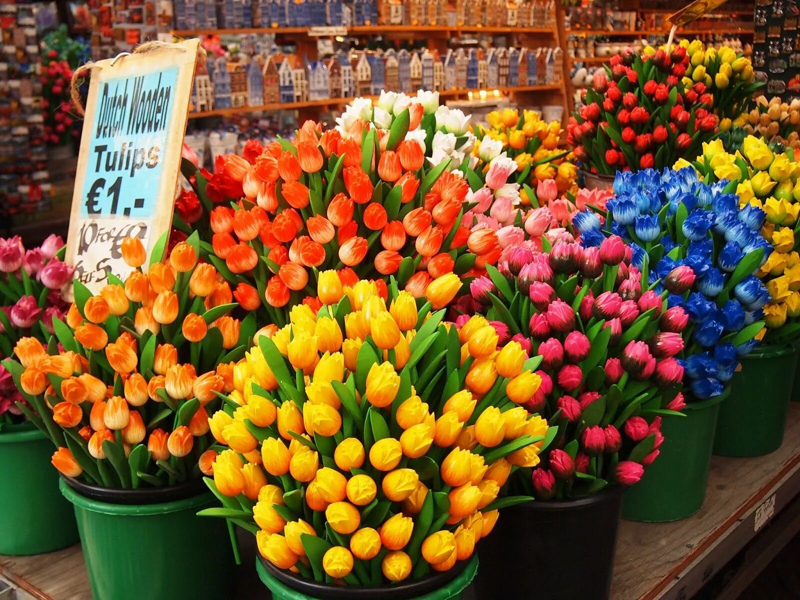 Рынок тюльпанов в Амстердаме. Голландские тюльпаны. Голландия тюльпаны. Цветы Голландии.
