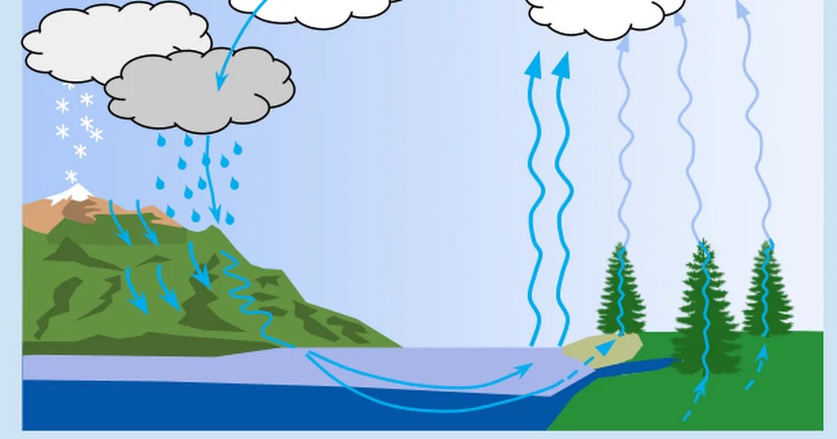 Ciclo del agua Ciclo del agua, Carpeta de lectura, Artesanías de preescolar