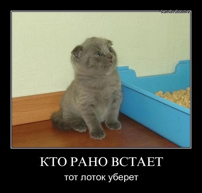 Тем кто рано встает картинки. Кто рано встает. кто рано встает приколы. кто рано встаёт тому приколы. кто оано встаёт приколы.