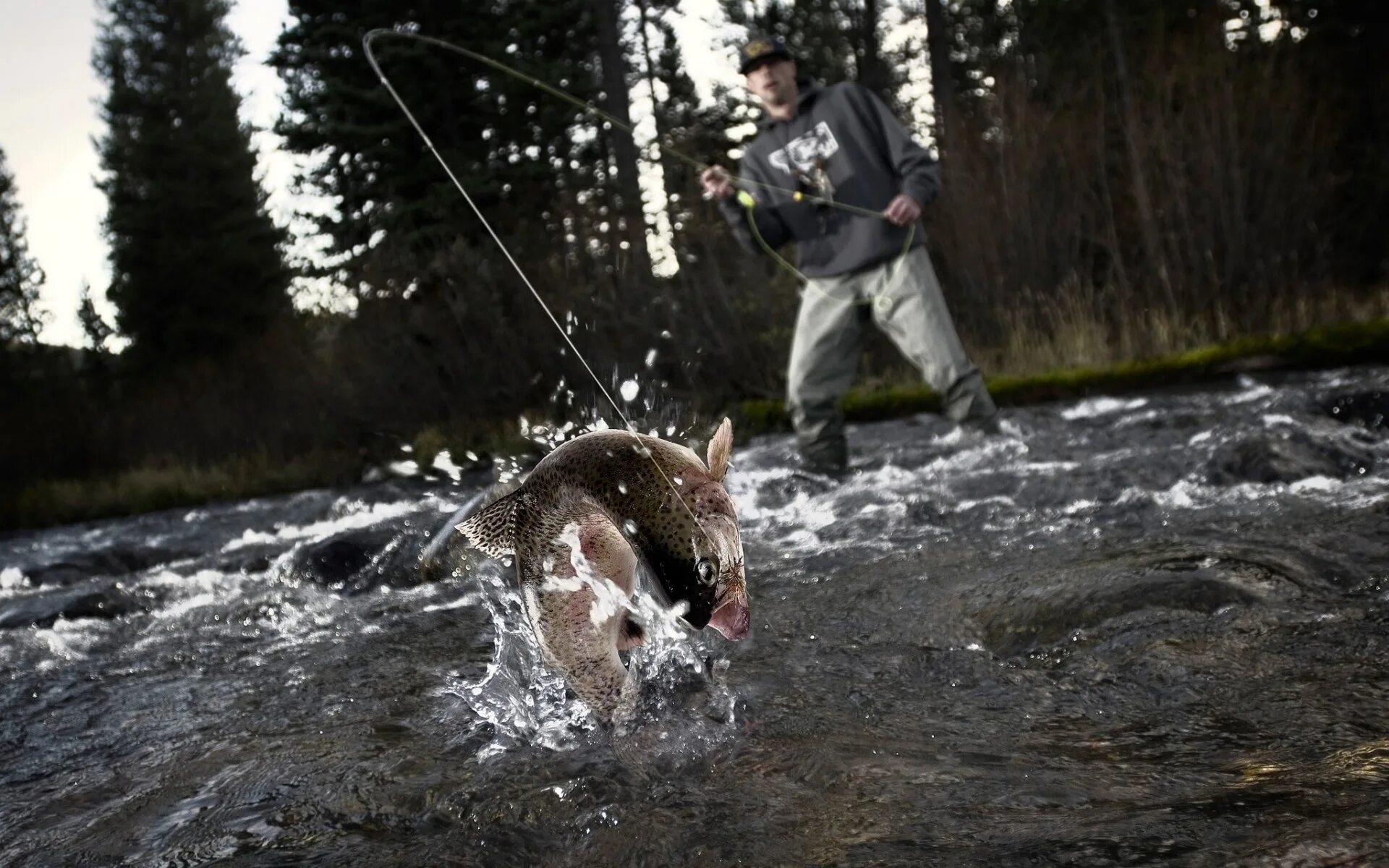 We to fish now. Рыбы видео для детей. Игры io про рыб. Рыбачьте с нами обложки. We to fish now.