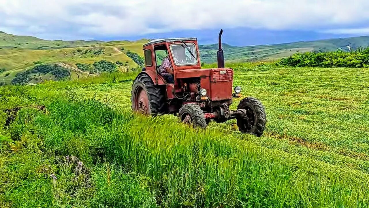 Т-40 (трактор). Т 40 ам. Трактор ЛТЗ Т-40ам. Т-40 ам трактор с косилкой.