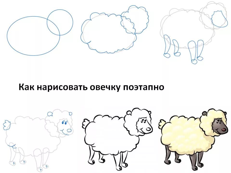 Барашек пошагово