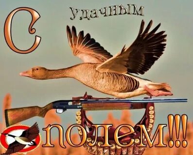 Удачной охоты
