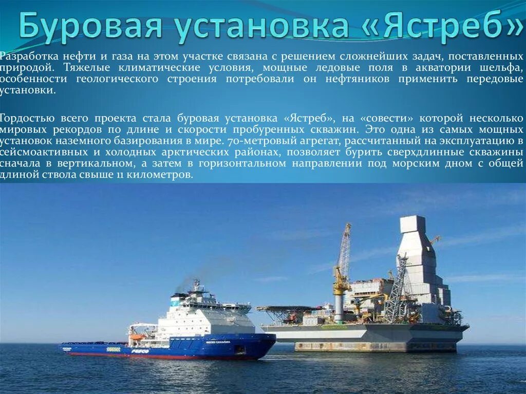 Шельф охотского моря нефть