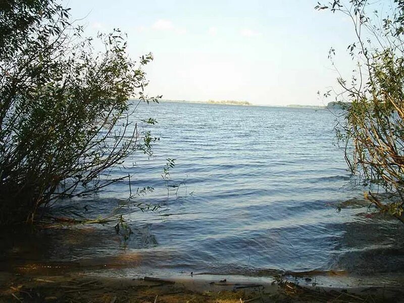 Староюрьево шушпанское водохранилище. Керша водохранилище тамбовская. Шушпанское водохранилище тамбовской. Керша водохранилище тамбовская. Тамбов шушпанское водохранилище.