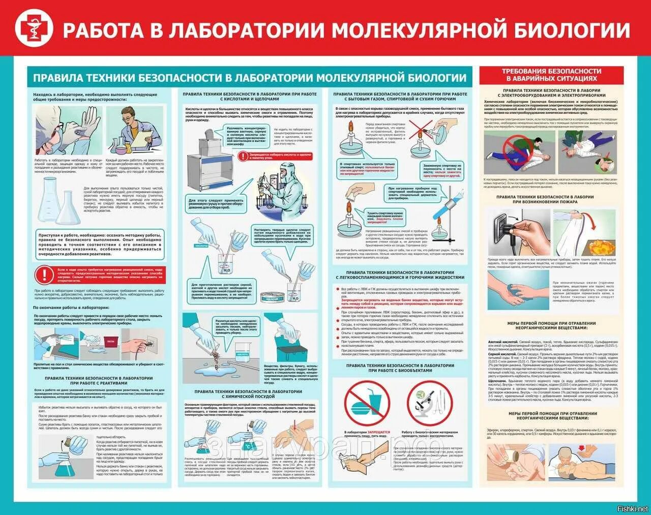 Требования безопасности в лаборатории. Правила безопасности в химической лаборатории. Техника безопасности в лаборатории химии. Правила работы в лаборатории. Техника безопасности в Лаба.