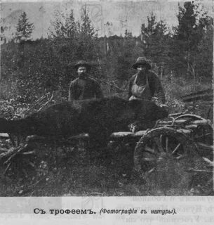 Сибирские охотничьи рассказы