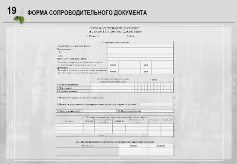 Сопроводительный на транспортировку древесины