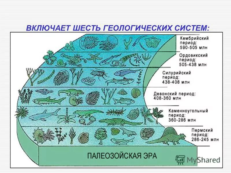 Палеозой Эра Кембрий. Кембрийский период палеозойской эры. Палеозойская Эра периоды. Палеозойская Эра растения.