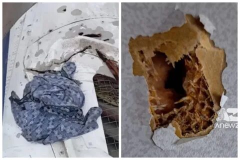 Жақыннан түсірілген фотосуреттер