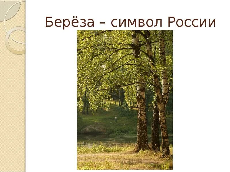 Включи стихотворение я помню ранило березу осколком. Васильев белая береза. Васильев береза стихотворение. Символы России. С. Васильев «белая берёза» 2класс.