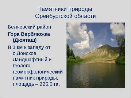 Оренбургская область сообщение
