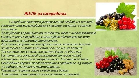 Какие овощи и фрукты разжижают