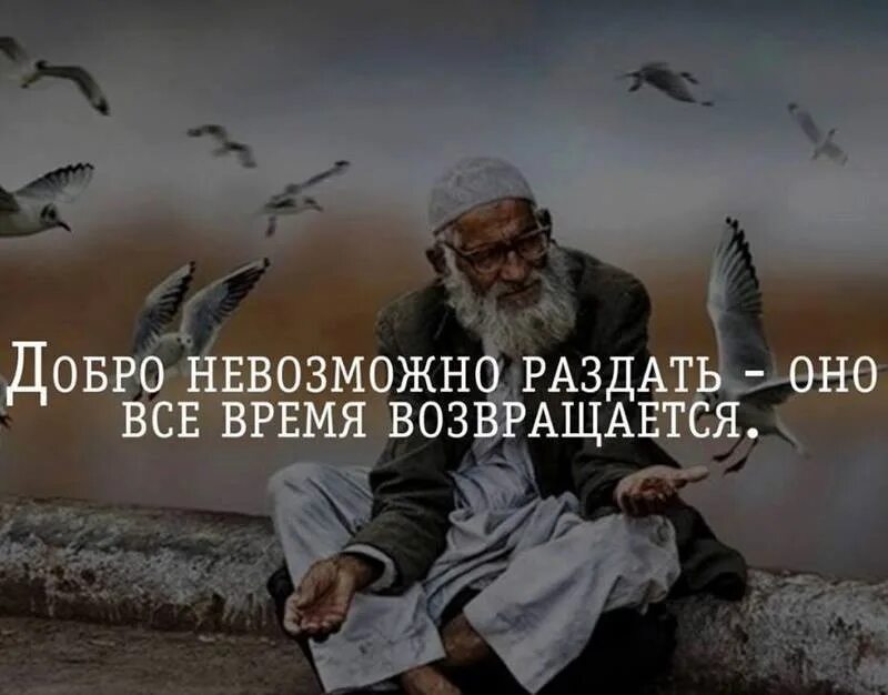 Добро не всегда свет. Цитаты про добро. Мудрые слова о доброте. Высказывания о доброте Мудрые. Добро возвращается добром цитаты.