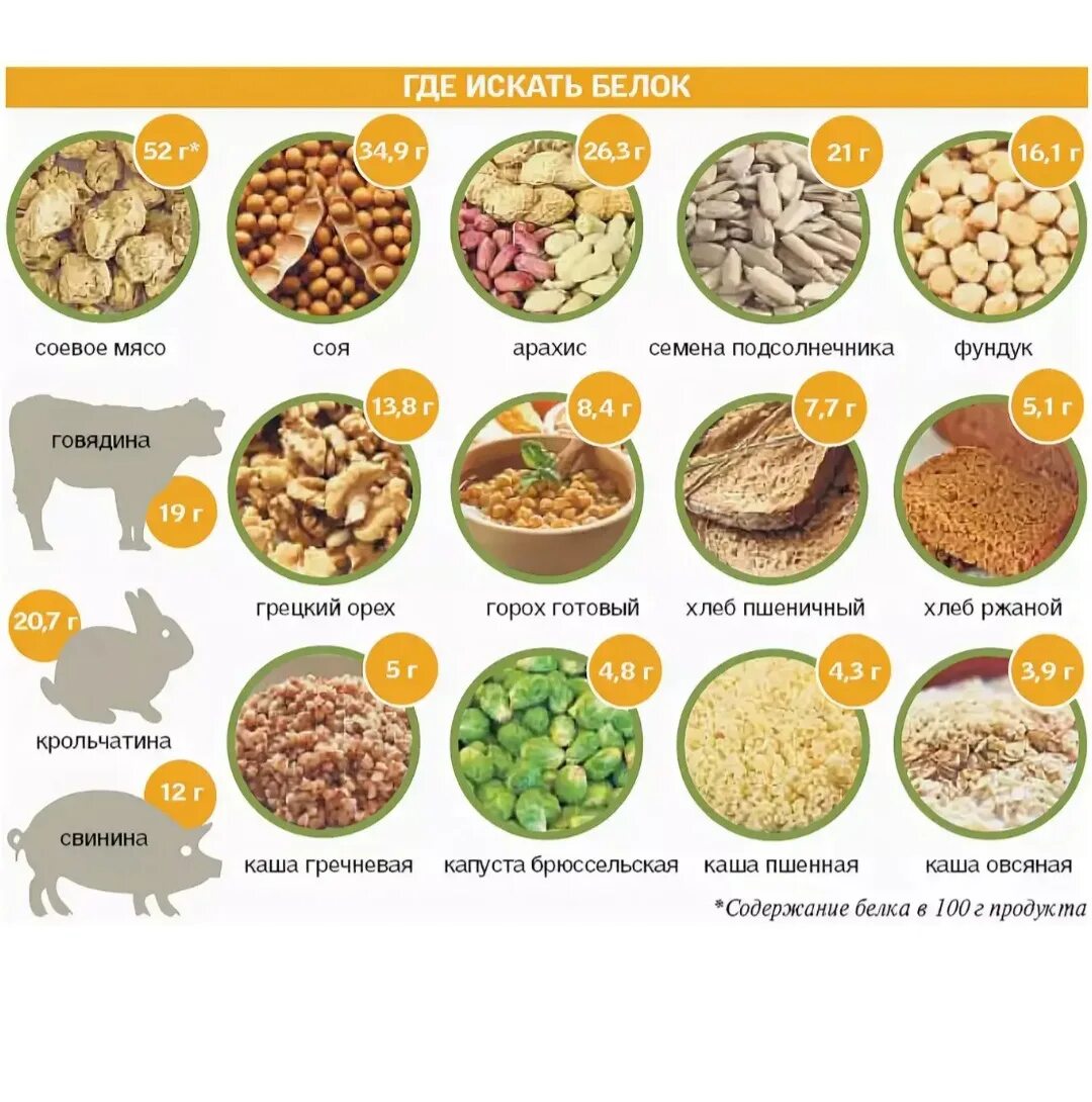 В орехах много белка. Источники белка в продуктах. Что может заменить белок в мясе. Продукты заменяющие белок мяса. Растительные белки в пост