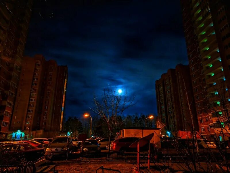 южная роща санкт-петербург. сквер на зареке петрозаводск. калинина 1 балашиха. жизнь балашиха. школа 24 петрозаводск.