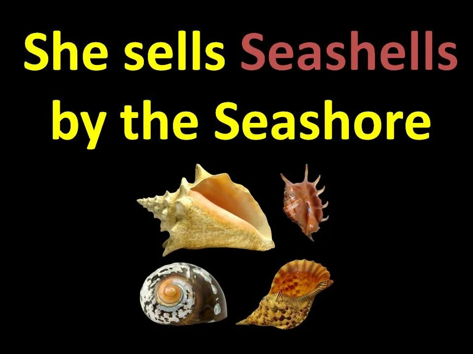 She sells seashells on the seashore. Seashells скороговорка. she sells seashells on the seashore скороговорка. скороговорки на английском she sells seashells. скороговорка she sells.