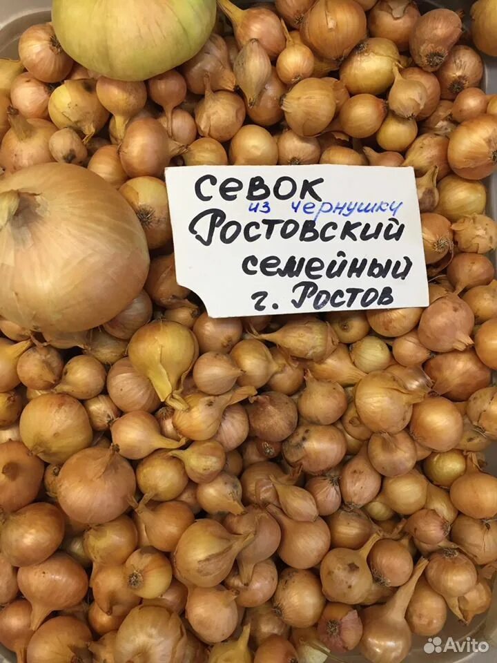 Ростовский лук описание сорта - MosRosa.ru