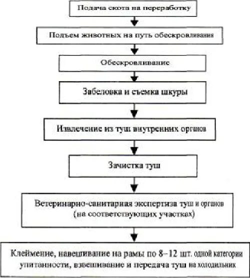 Технологические процессы содержания животных. Схемы первичной переработки КРС. Технологическая схема переработки КРС. Технологическая схема первичной переработки скота. Схема переработки крупного рогатого скота.