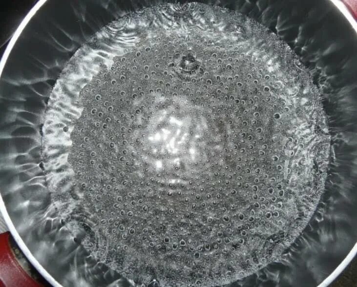 Гибель семян в кипяченой воде