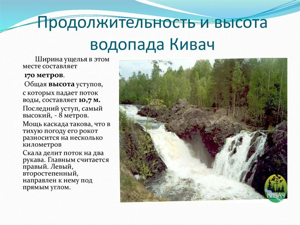 Заповедник кивач план текста. Заповедник и водопад Кивач. Кивач водопад 2022. Заповедник Кивач достопримечательности. Характеристика водопада Кивач в Карелии.