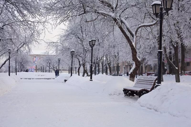 Зима днем в городе. Зимний день в городе. парк тула зима. зеленодольск зима парк. январь в городе.