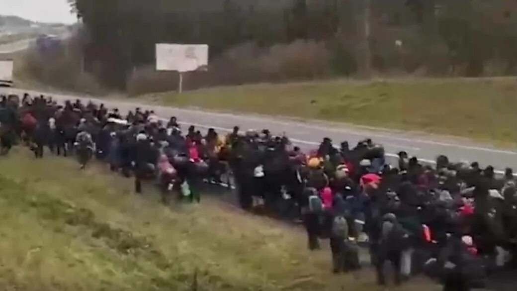 Беженцы в Польше из Беларуси. Граница Беларуси Литвы Польши. Мигранты на границе. Армия Литвы и Польши у границы Белоруссии.