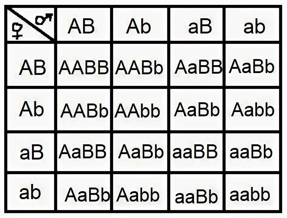 Определить генотип особи aabb. Aabb * aabb решётка пеннета. схема aabb х аавв иллюстрирует скрещивание. ab ab ab ab таблица. аавв аавв.