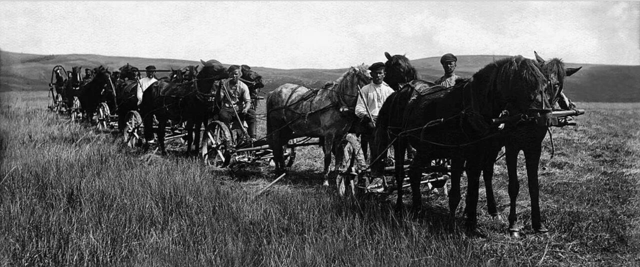 Кубань 1930. Совхоз 1930 год. урал в 1930-е годы. сельское хозяйство россии 1920. сельское хозяйство россии в начале 20 века.