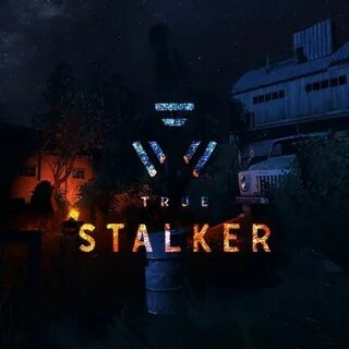 Сталкер true stalker