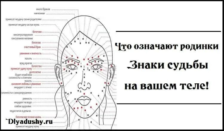Знак судьбы: о чем предупреждают родинки WOMAN