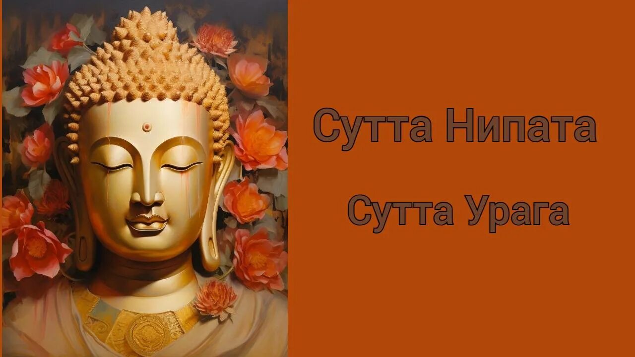 Сутта нипата. Сутта нипата