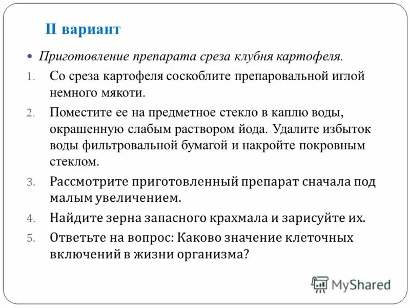 поперечный срез клубня и его части. поперечный срез клубня картофеля. поперечный срез клубня картофеля рисунок. тонкий срез клубня картофеля. тонкий срез клубня картофеля.