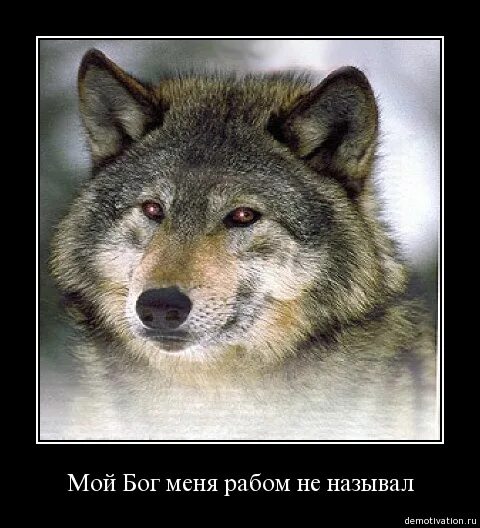 Мой бог меня рабом не кличет. Гр.комиссар волчья кровь. мой бог меня рабом не называл. мой бог меня рабом не.