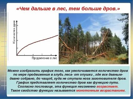 Куда дальше в лес