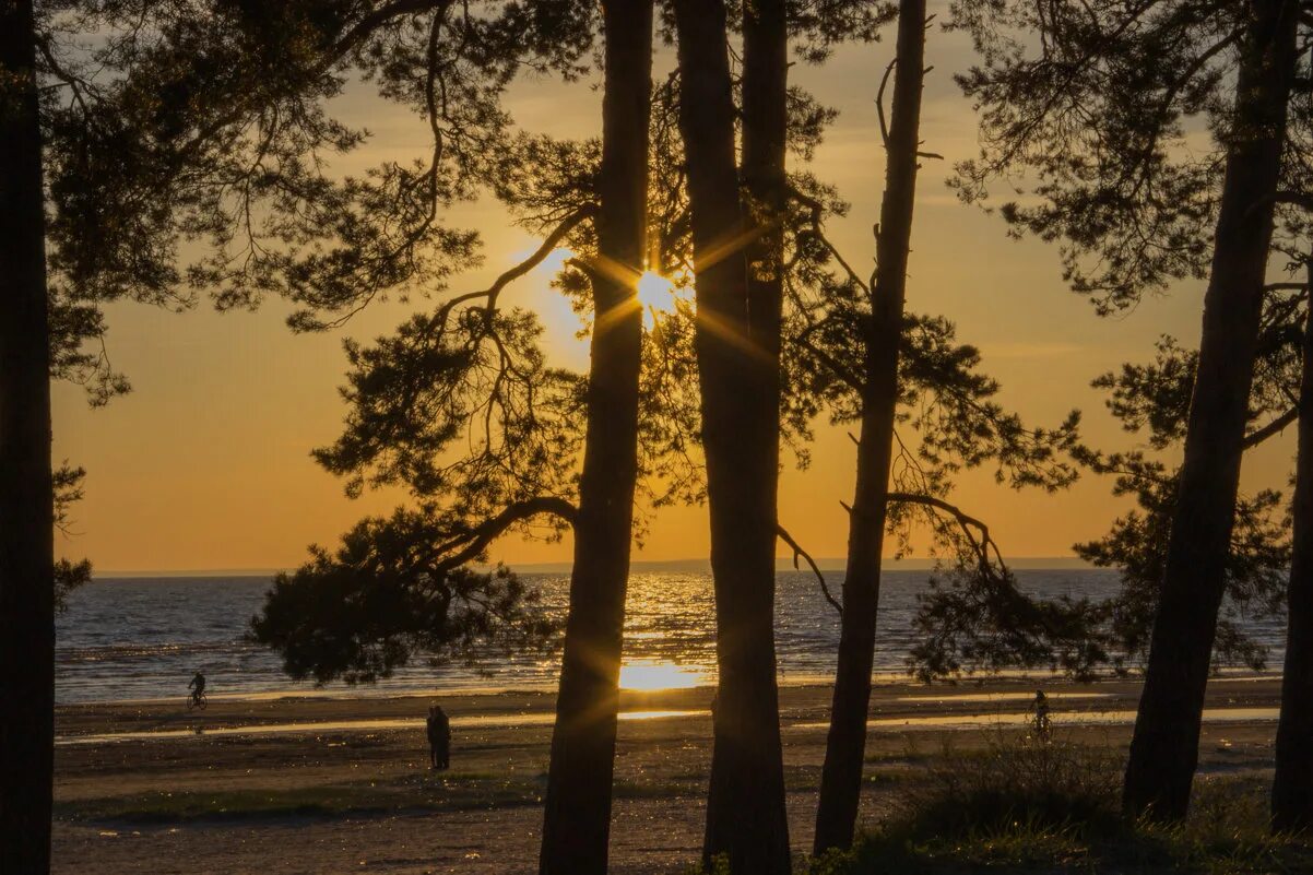снежная королева ледовое шоу.