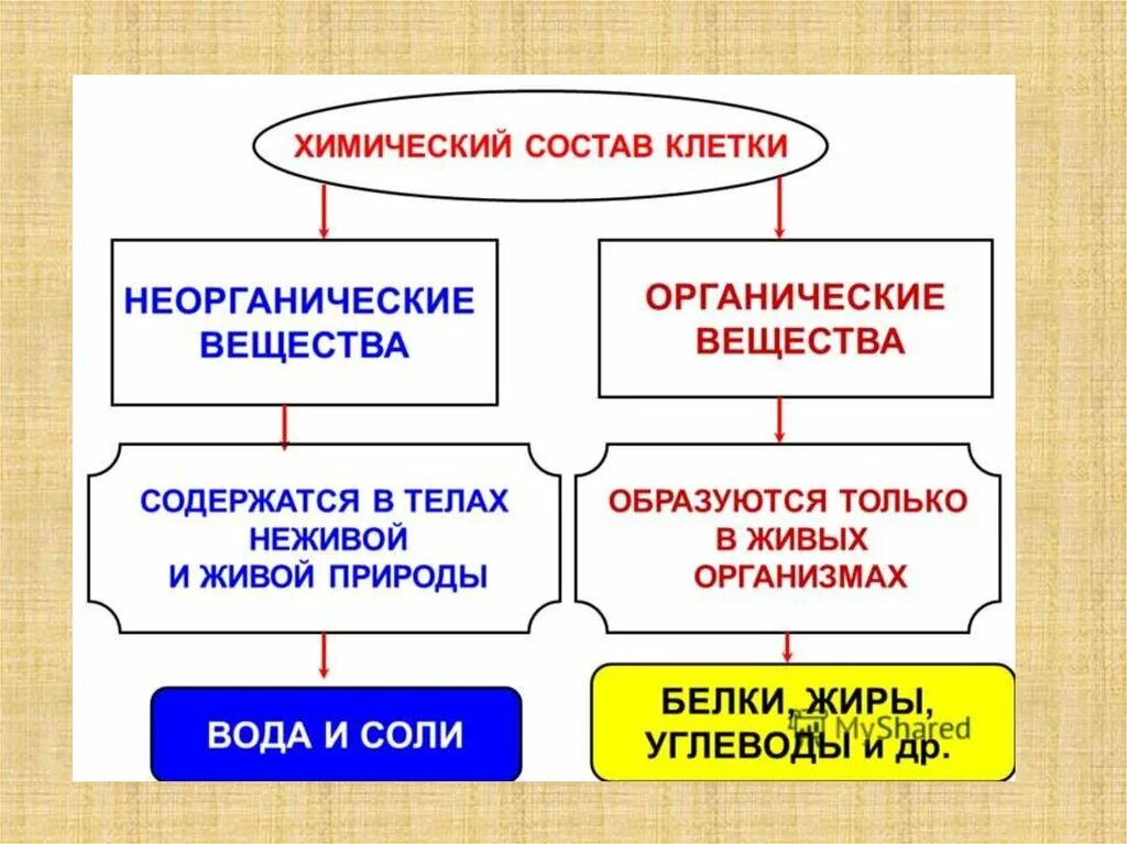 Функция органических и неорганических веществ. Химические вещества входящие в состав клетки таблица. Химическая организация клетки таблица вещества. Химический состав клетки 5 класс биология. Хим вещества клетки схема.