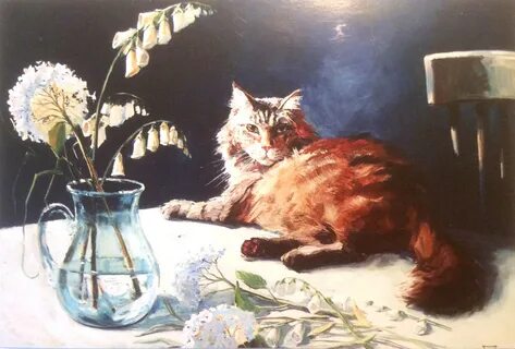 Коте м