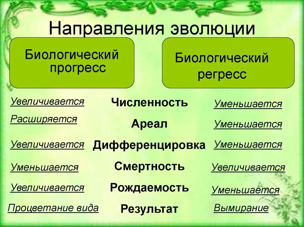 Направление эволюции биологический прогресс примеры. Биологический Прогресс и регресс. Направления эволюции биологический Прогресс и регресс. Критерии биологического прогресса и регресса. Биологический Прогресс это в биологии.