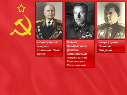 Командующие курской битвы