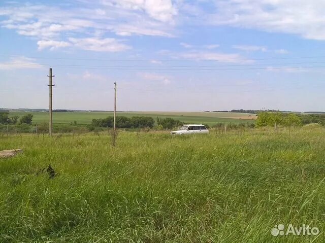 Воронежская область село верхняя плавица. Толщина почвы в селе борщево воронежской. Участки ижс воронежская область. Земельные участки воронеж. Участки ижс воронежская область.